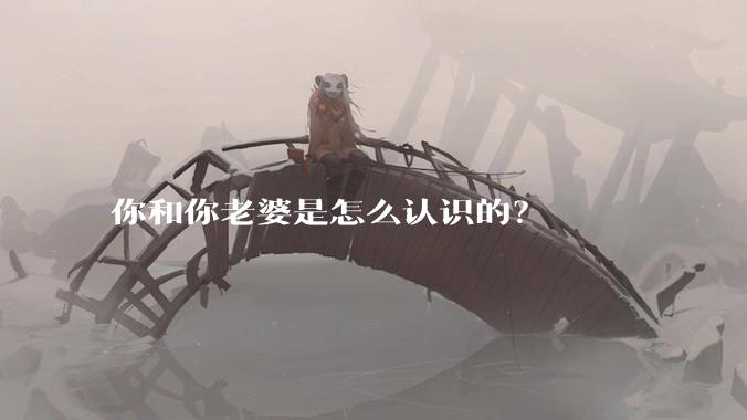 你和你老婆是怎么认识的？