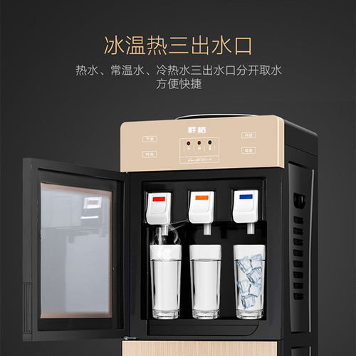 立式制冷制热饮水机 现代家庭与办公室的节能茶吧新选择